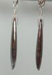 Spiderweb Agatized Dinosaur Bone (Gembone) Earrings #84743-2